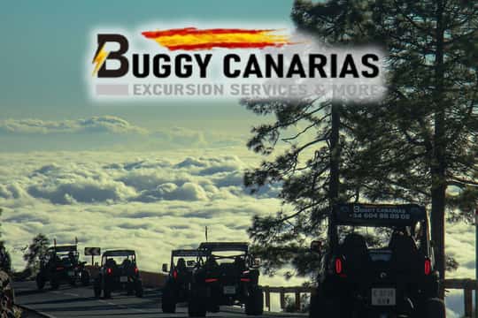 Tenerife: Morning or Sunset Teide Buggy Tour