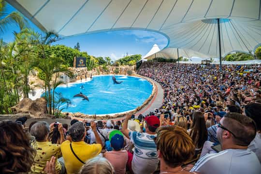 Loro Parque Entry Ticket