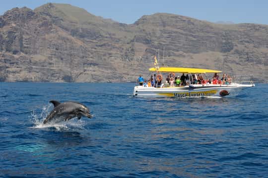 Los Gigantes: Dolphin & Whale Watching Cruise with Swim Stop