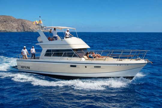 Discover Whales in Tenerife: Exclusive Yacht Tour with Swim and Lunch