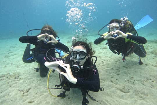 Tenerife: Beginner's Dive at a Spot with Turtle Sightings