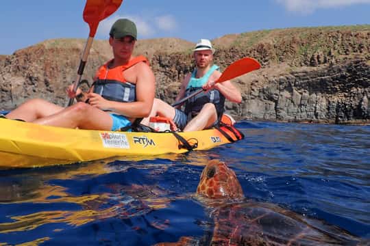 Tenerife: Kayak and Snorkel with Turtles, Dolphins, & Videos