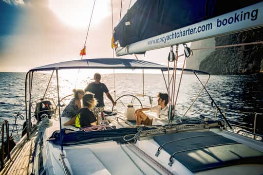 Whale and Dolphin Watching Sailing Tour – Los Gigantes (3H)