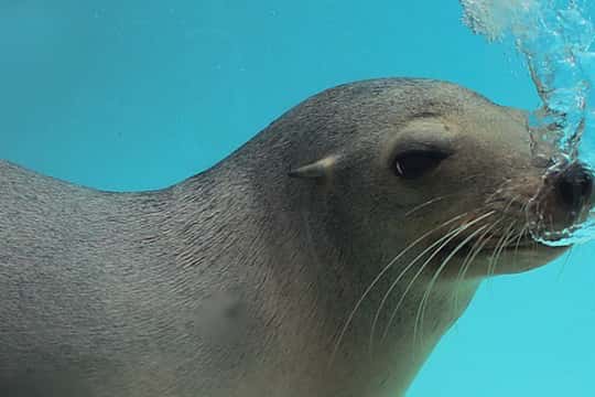 Arona: Entry Ticket to Tenerife's Jungle Park Zoo