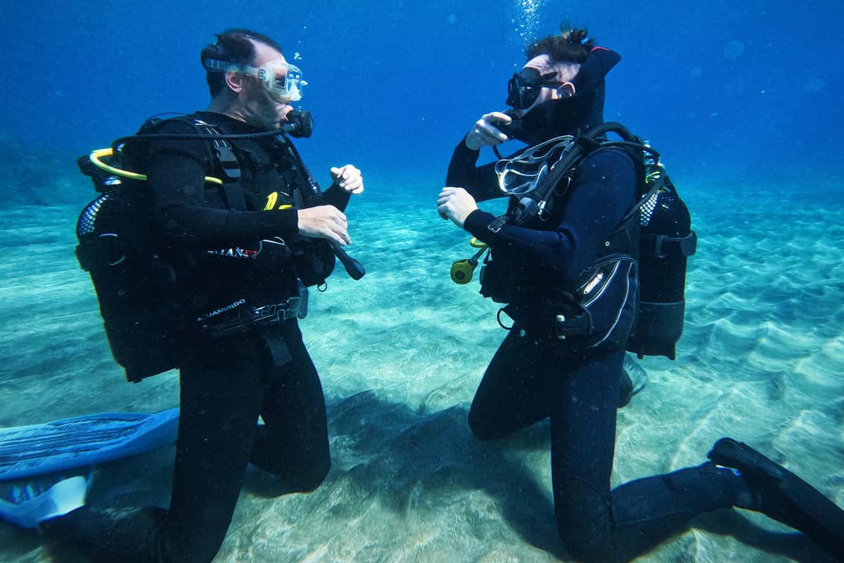 Tenerife: Private Scuba Diving–Certified Instructor & Photos