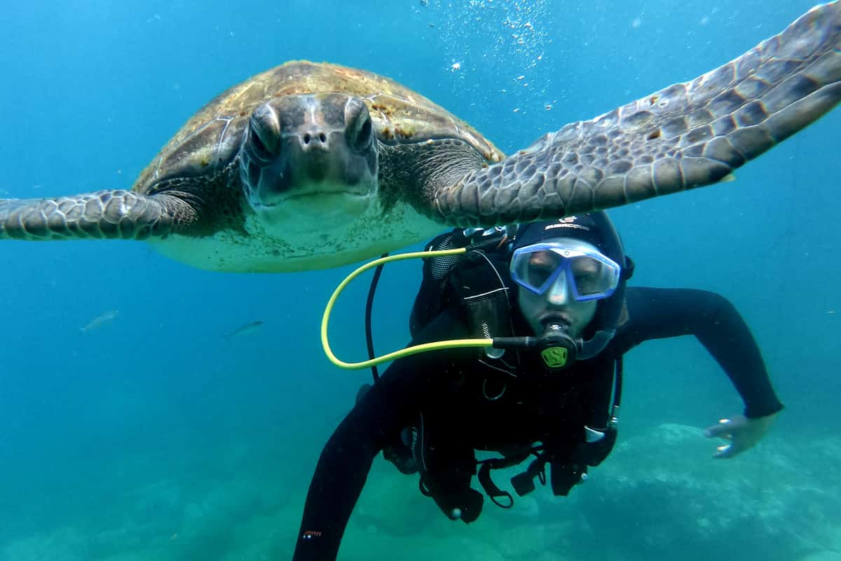 Tenerife: PADI Beginner Scuba Dive in the Turtle Area