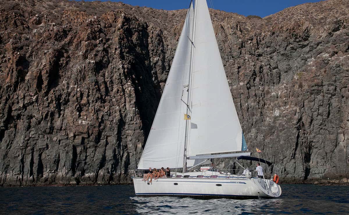 From Los Gigantes: Whale Watching Sailboat Cruise