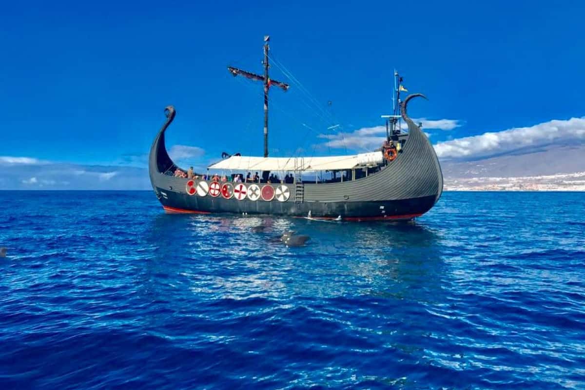 Los Cristianos: Viking Cruise Whales & Dolphins Watching